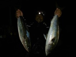 ハピネスⅡ 釣果