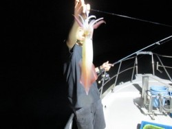 ジギング船 BLUEWATER 釣果