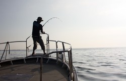 IZANAGI　イザナギ 釣果