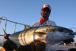 IZANAGI　イザナギ 釣果