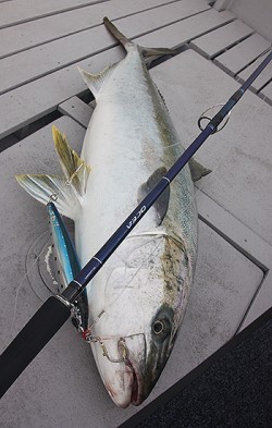 IZANAGI　イザナギ 釣果