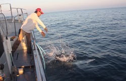 IZANAGI　イザナギ 釣果