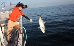 IZANAGI　イザナギ 釣果