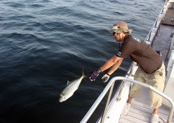 IZANAGI　イザナギ 釣果