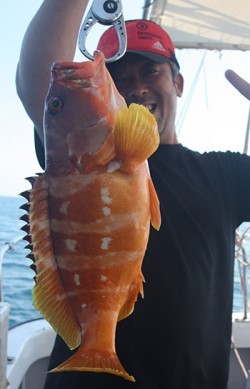 IZANAGI　イザナギ 釣果