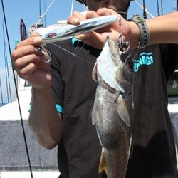 IZANAGI　イザナギ 釣果