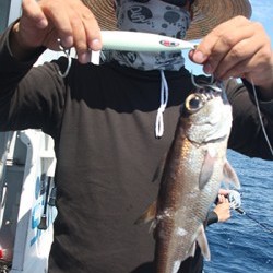 IZANAGI　イザナギ 釣果