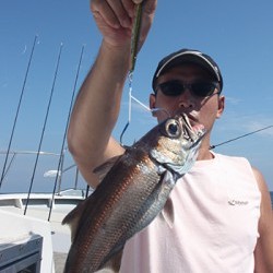 IZANAGI　イザナギ 釣果