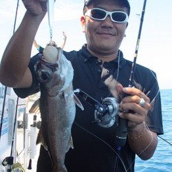 IZANAGI　イザナギ 釣果