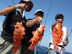 IZANAGI　イザナギ 釣果