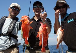 IZANAGI　イザナギ 釣果