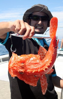 IZANAGI　イザナギ 釣果