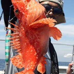 IZANAGI　イザナギ 釣果