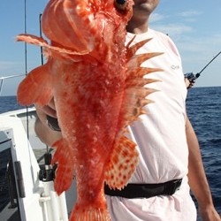 IZANAGI　イザナギ 釣果