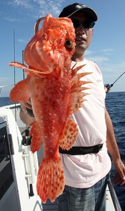 IZANAGI　イザナギ 釣果