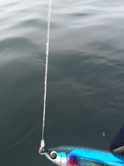 IZANAGI　イザナギ 釣果