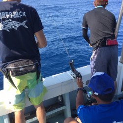 かいもん丸 釣果