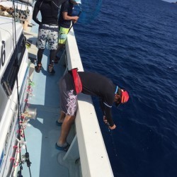 かいもん丸 釣果