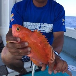 かいもん丸 釣果