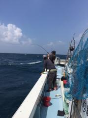 かいもん丸 釣果