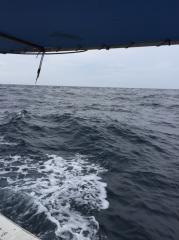 かいもん丸 釣果