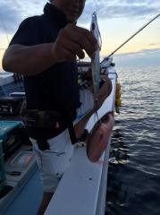 かいもん丸 釣果