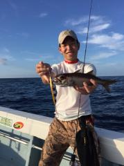 かいもん丸 釣果