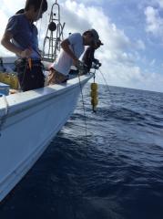 かいもん丸 釣果