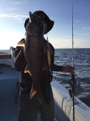 かいもん丸 釣果