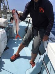 かいもん丸 釣果