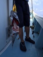 かいもん丸 釣果