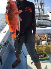 かいもん丸 釣果