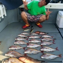 さんさん丸 釣果