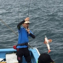 征海丸 釣果