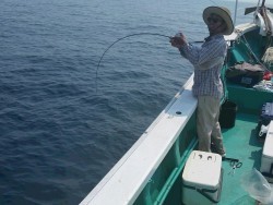 清和丸 釣果