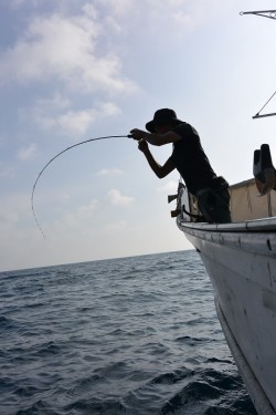 宝生丸 釣果