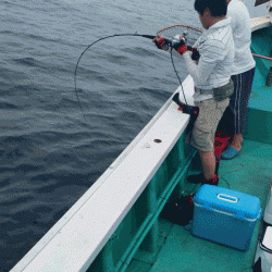 清和丸 釣果