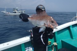 清和丸 釣果