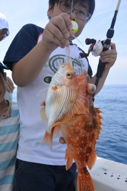 宝生丸 釣果