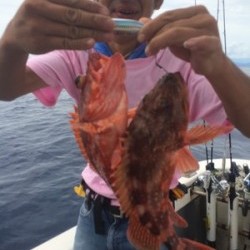 Blue.win 海人丸 釣果