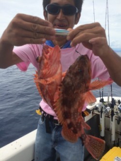 Blue.win 海人丸 釣果