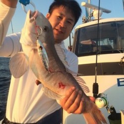 Blue.win 海人丸 釣果