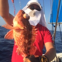 Blue.win 海人丸 釣果