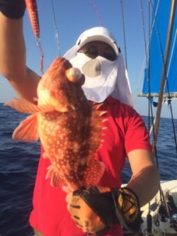 Blue.win 海人丸 釣果