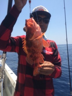 Blue.win 海人丸 釣果