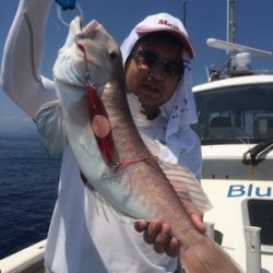 Blue.win 海人丸 釣果