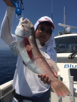 Blue.win 海人丸 釣果