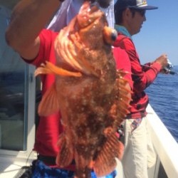 Blue.win 海人丸 釣果