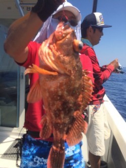 Blue.win 海人丸 釣果