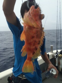 Blue.win 海人丸 釣果